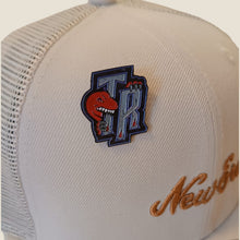 Cargar imagen en el visor de la galería, Pin Toronto Raptors TR Logo
