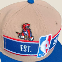 Cargar imagen en el visor de la galería, Pin Toronto Raptors Homenaje a Vince Carter
