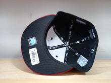 Cargar imagen en el visor de la galería, Albuquerque Isotopes MiLB Copa De La Diversión 5950
