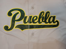 Cargar imagen en el visor de la galería, Jersey New Era Pericos De Puebla Hombre Gris
